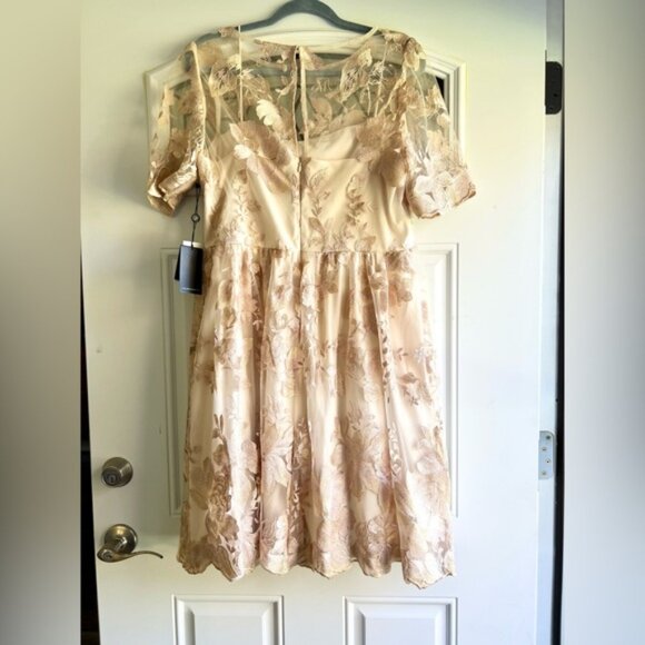 NWT Adrianna Papell x BHLDN Nadine Illusion Embroidered Lace Dress in Blush Gold - Picture 7 of 9